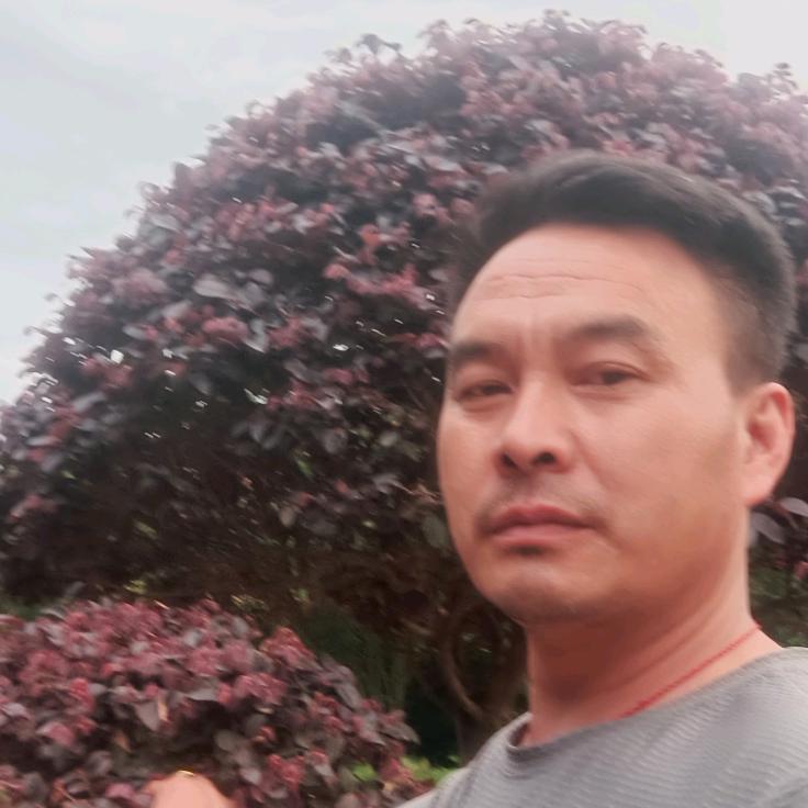 兔子不吃窝边草