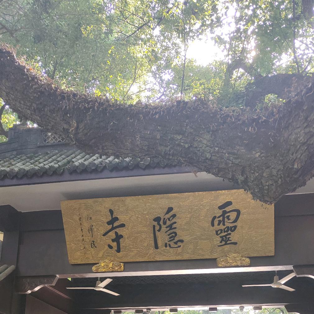 醒醒