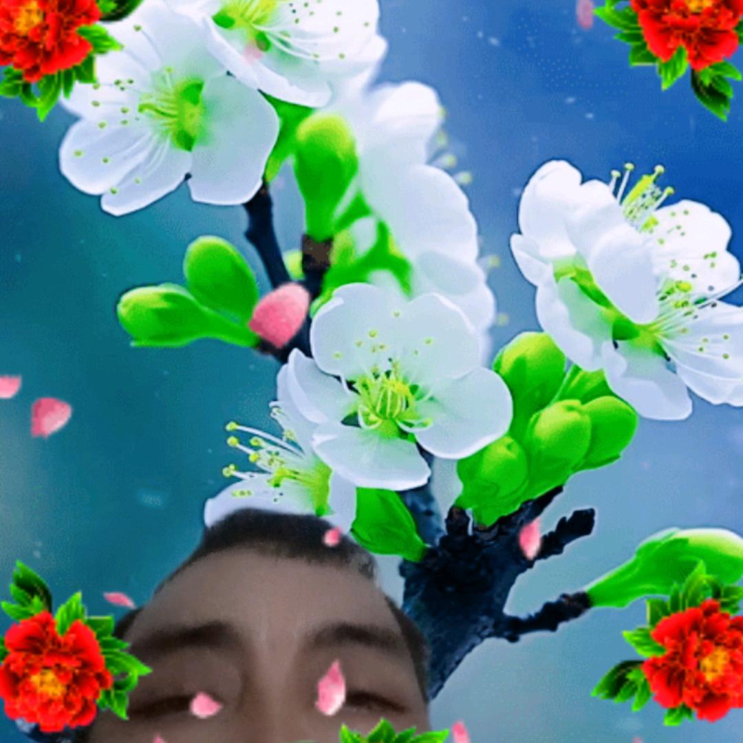 李锐单身一个人觉得自己无聊
