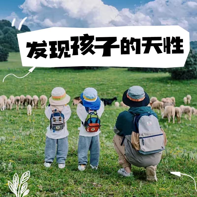 奈琳
