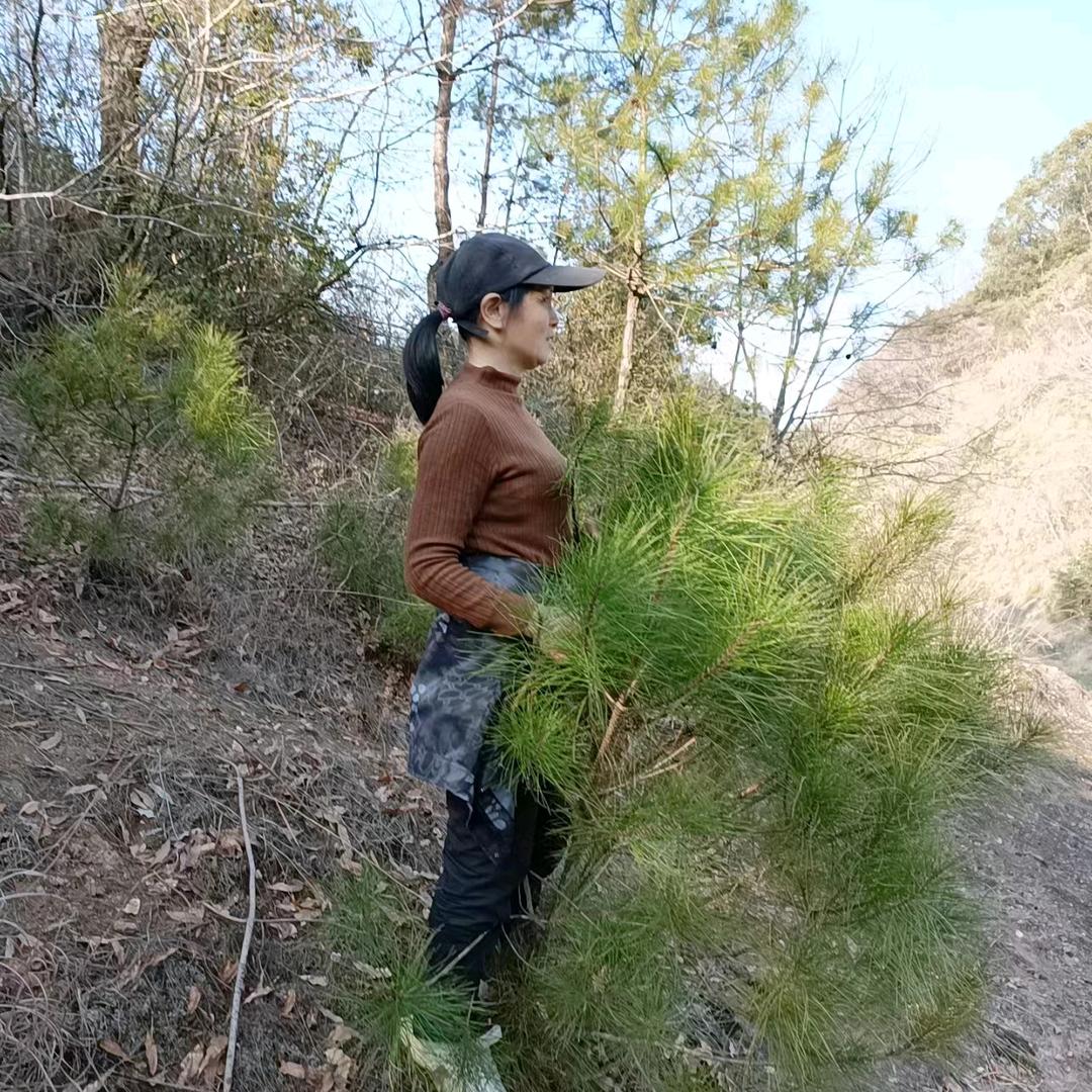 小英的农村生活