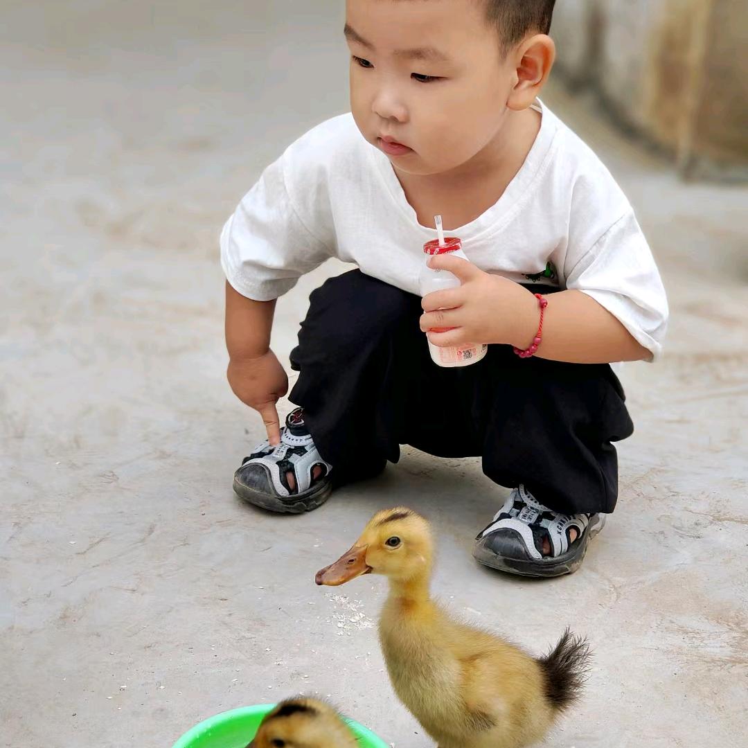 踮起脚尖吻到爱