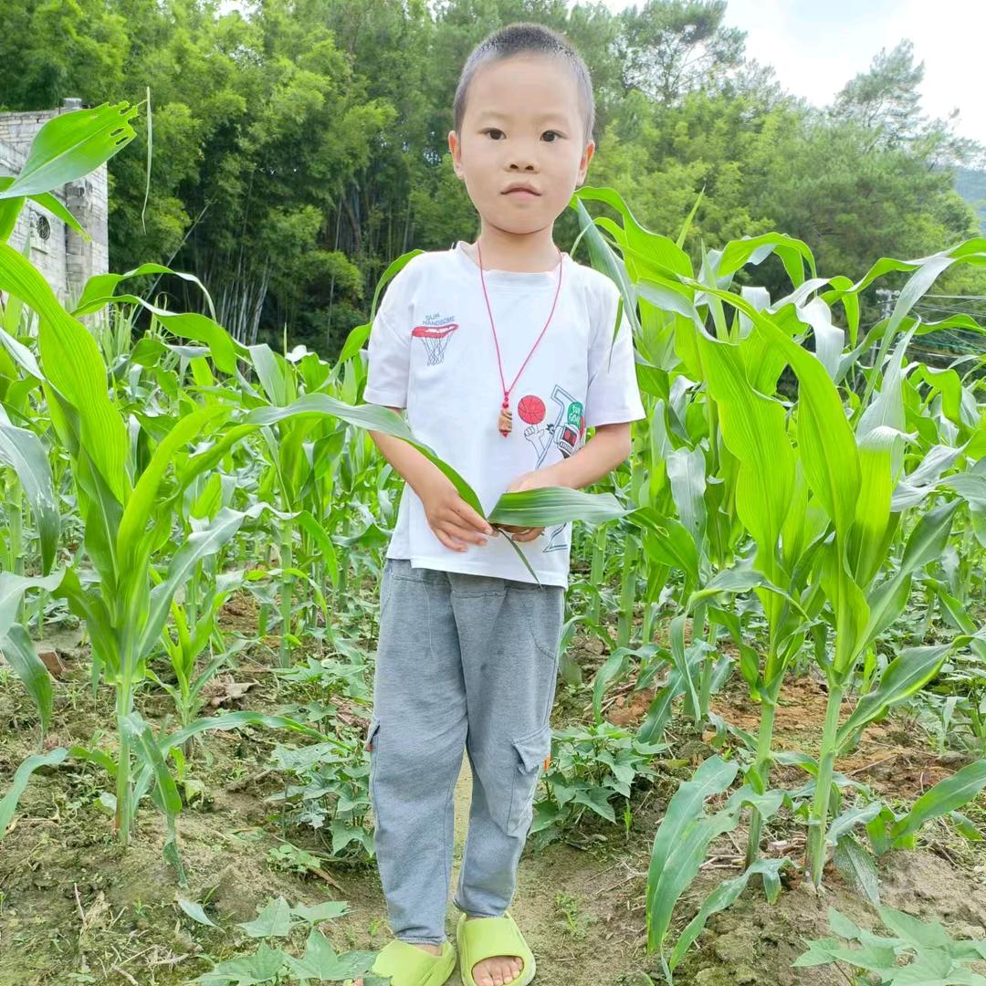 好运来👍
