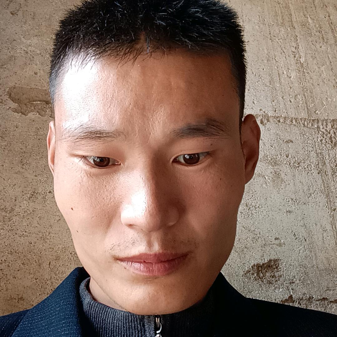 龙行凤