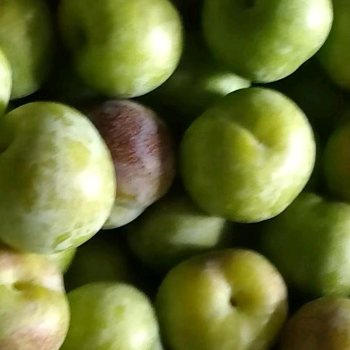风走了八万里不问归期