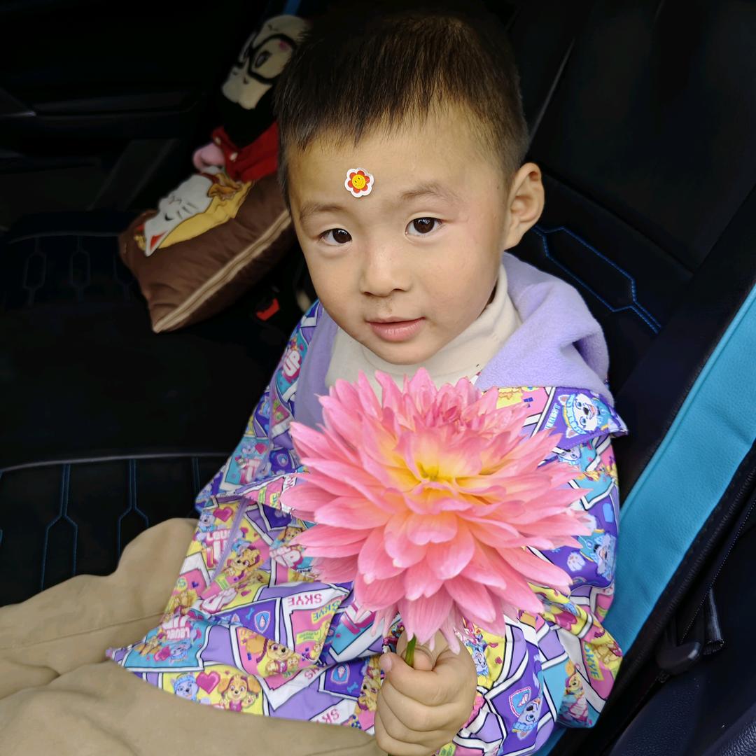 张家界煜博花卉园艺