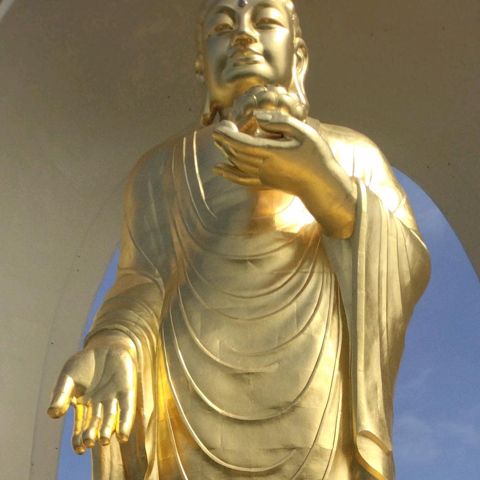 @汪师傅