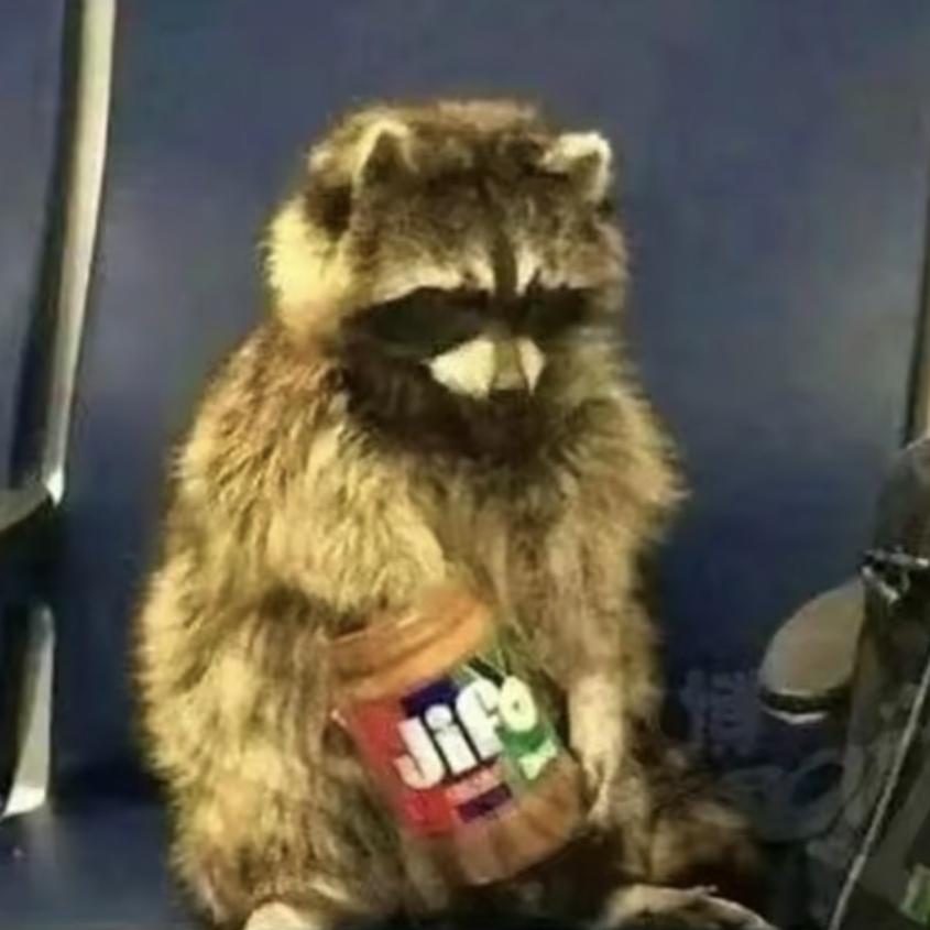 在公交车上吃花生酱的小浣熊