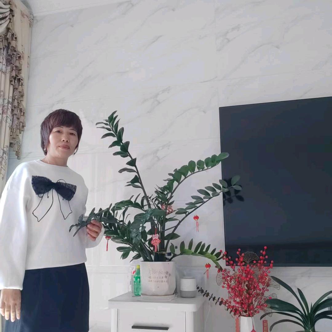 随风LIJN💝