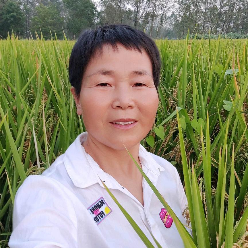 湖北襄阳农资闫姐
