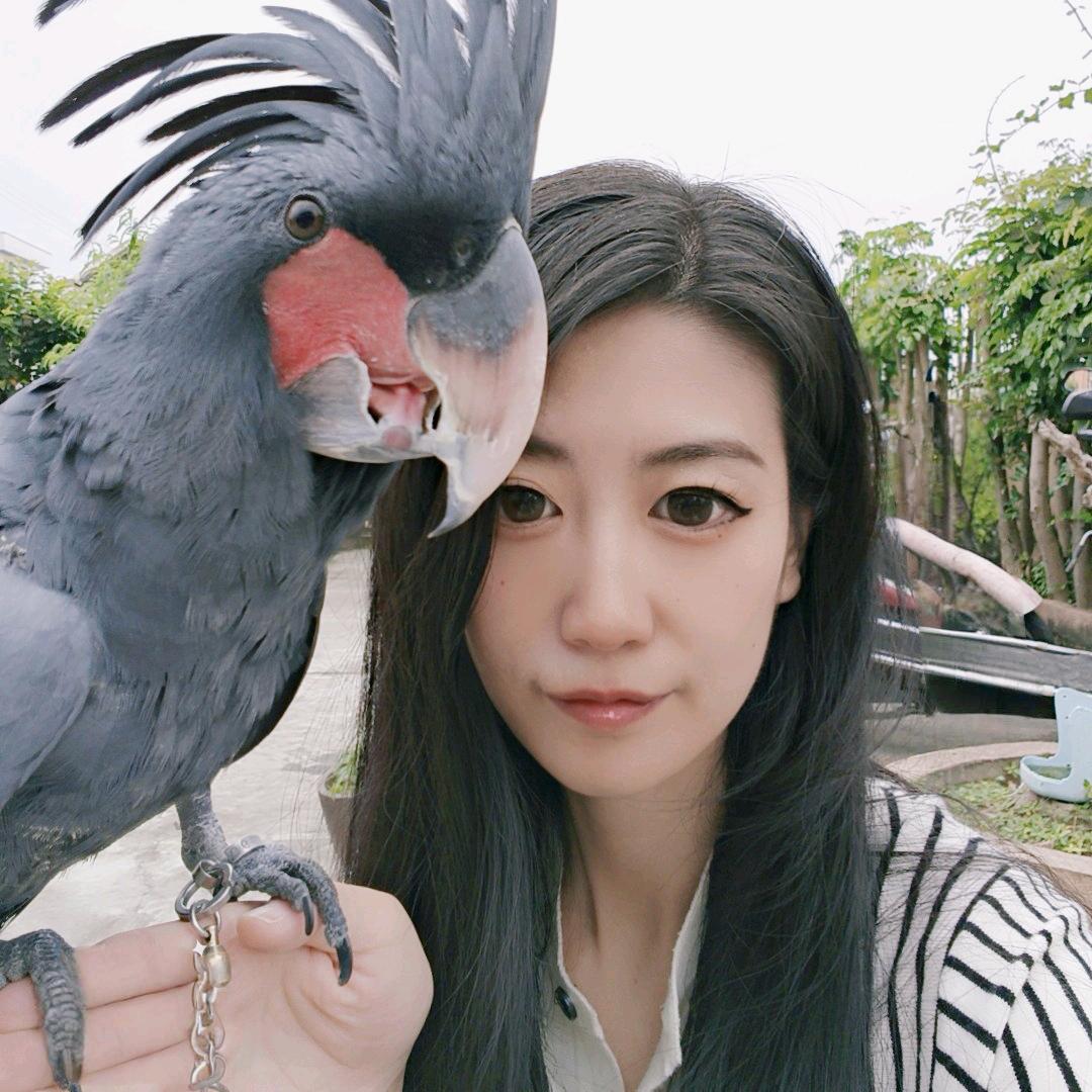 紫蓝鹦鹉🦜小暖