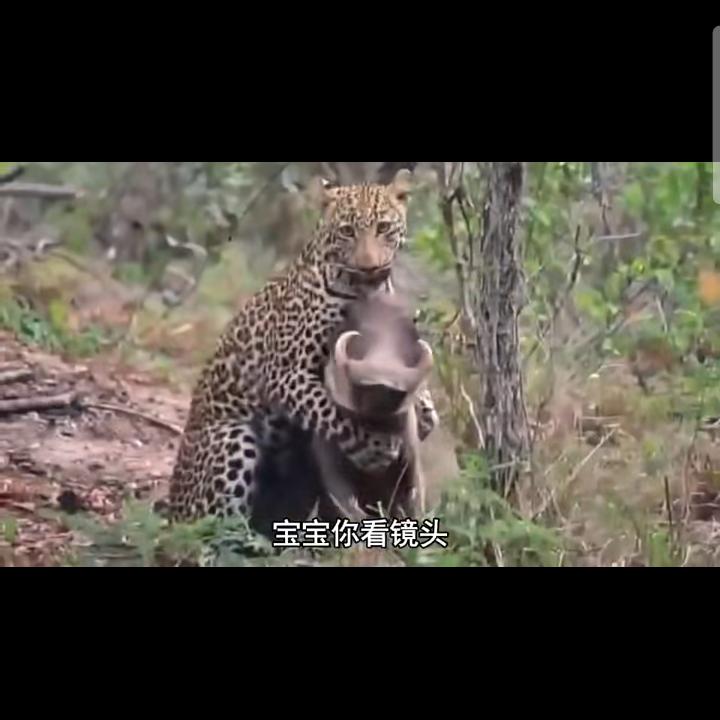 李不懂