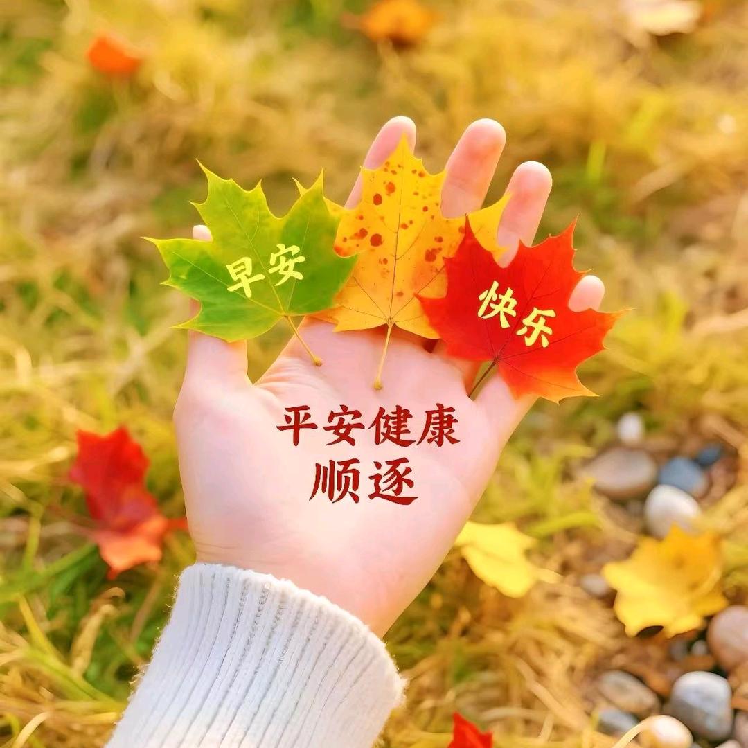 无影
