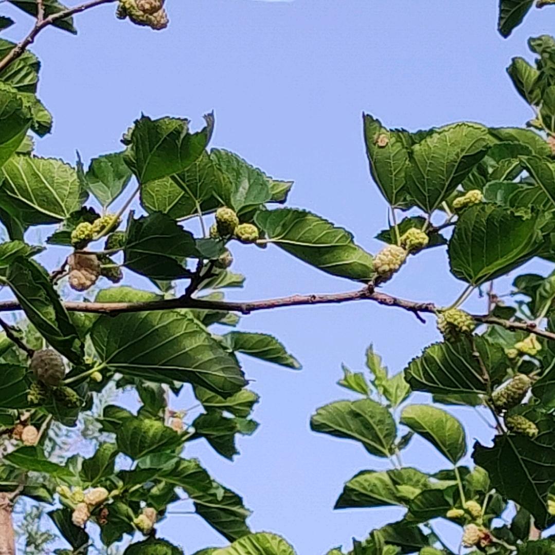春花夏风秋月月