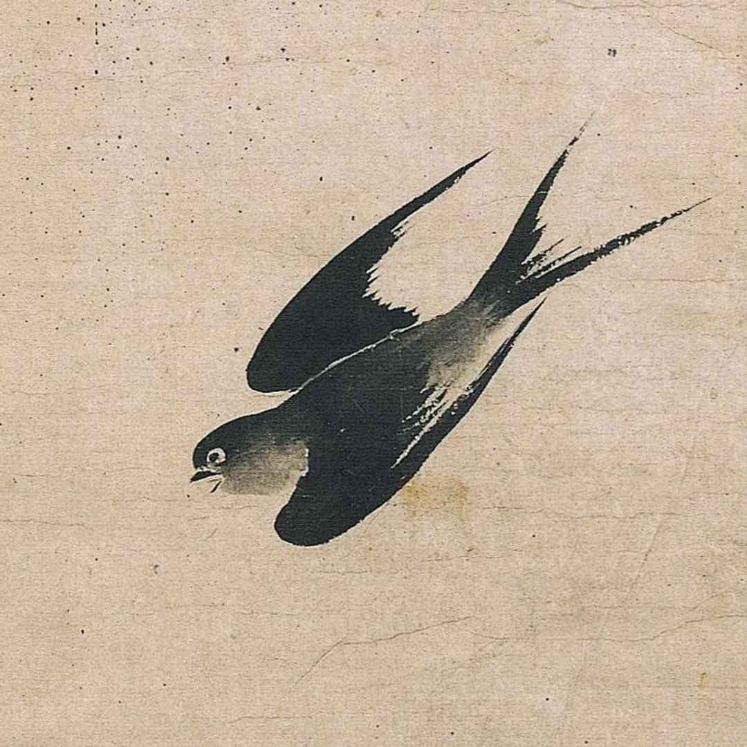一枝姜