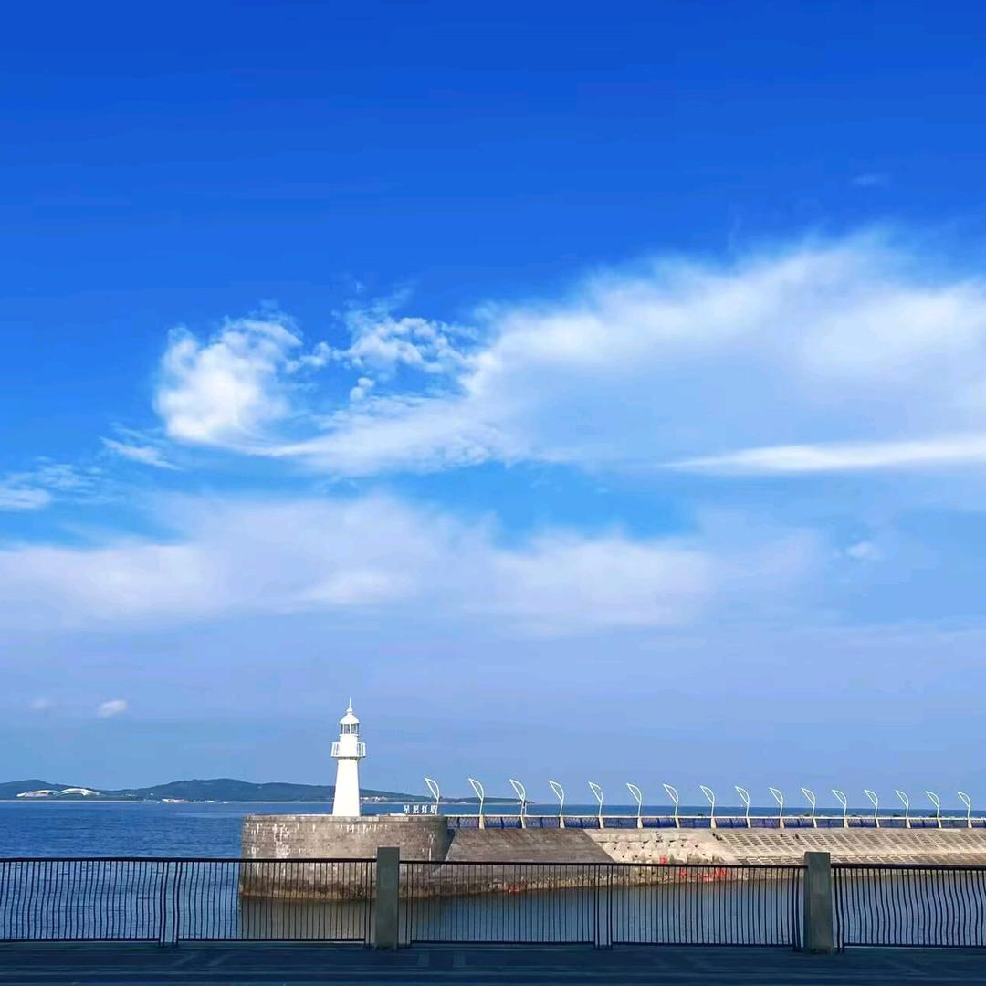 向日葵🌻