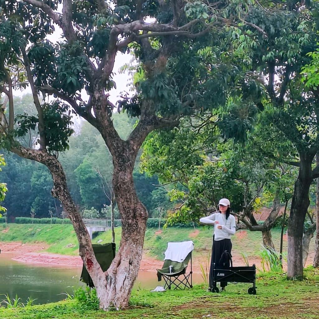 椿✲ﾟ❁🌸🌿