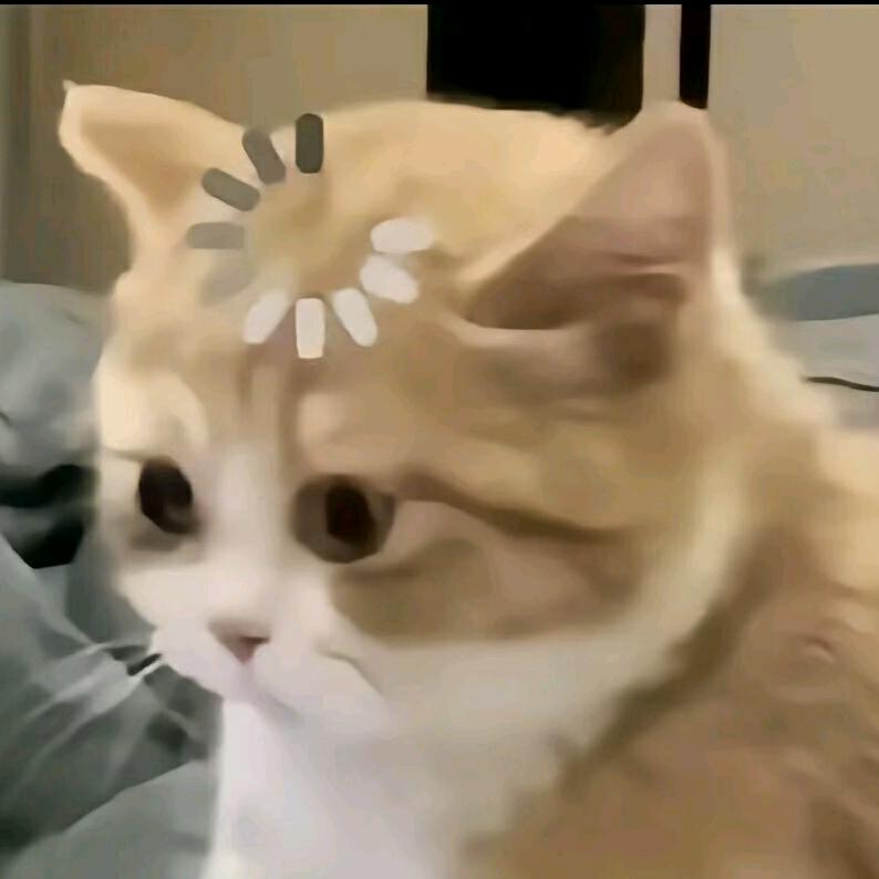 楚兮辞ʕ•͡-•ʔฅ