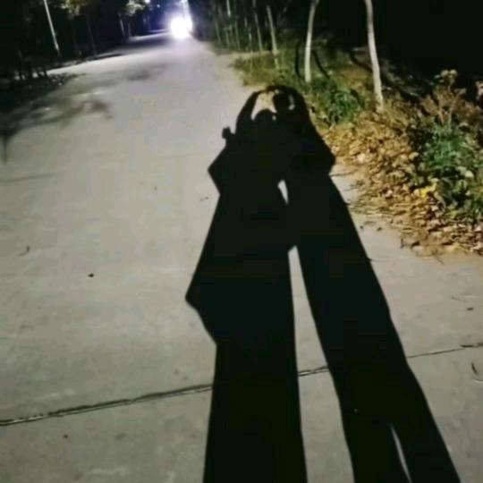 琪谦鹅业