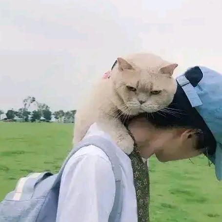 留辞