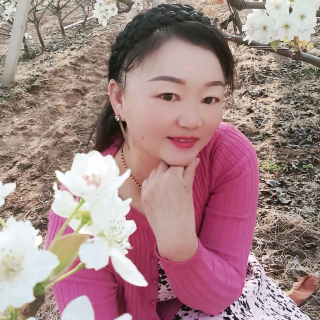 🌞太阳花🌞
