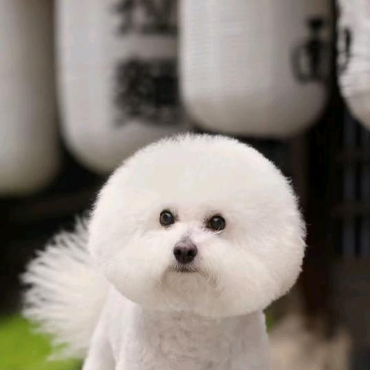 快乐一生