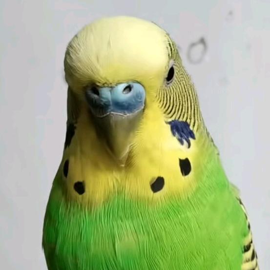 修修补补补@抖音