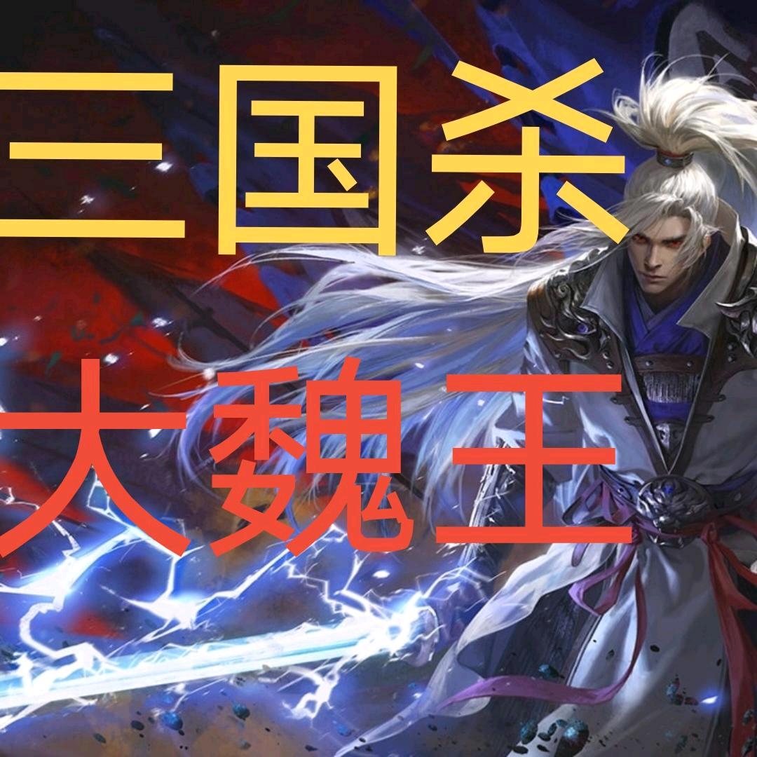 三国杀大魏王