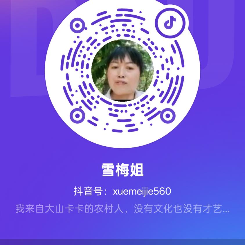 雪梅姐