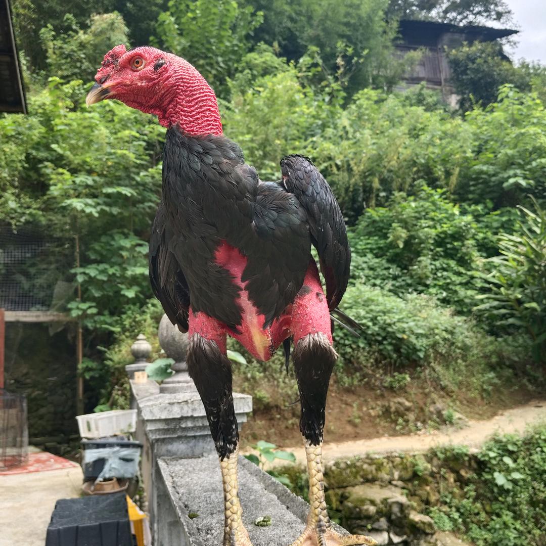 ℳ:.｡秋刀魚｡.｡.:づ