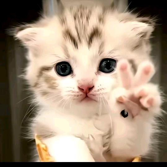 不是你的错~而是我的错！