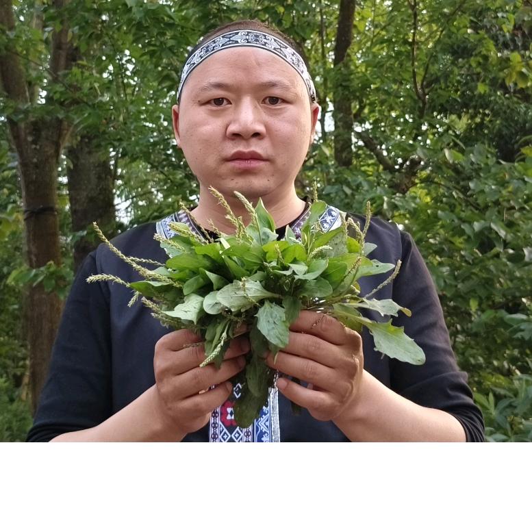 张青发
