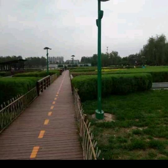 共产国际