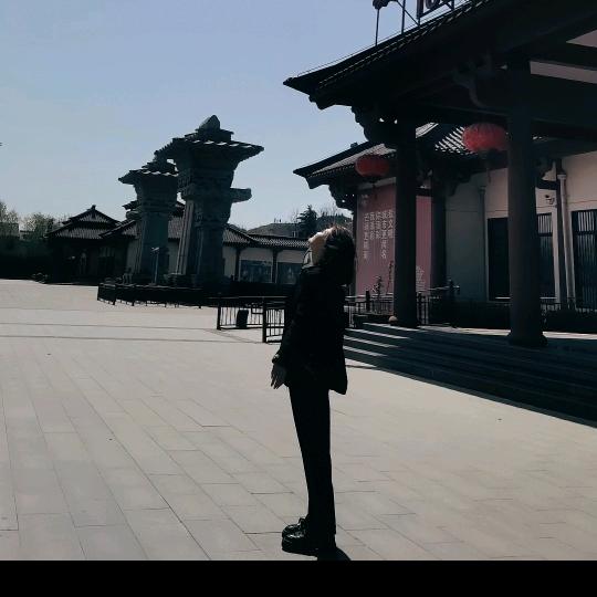 商丘金额姚丹