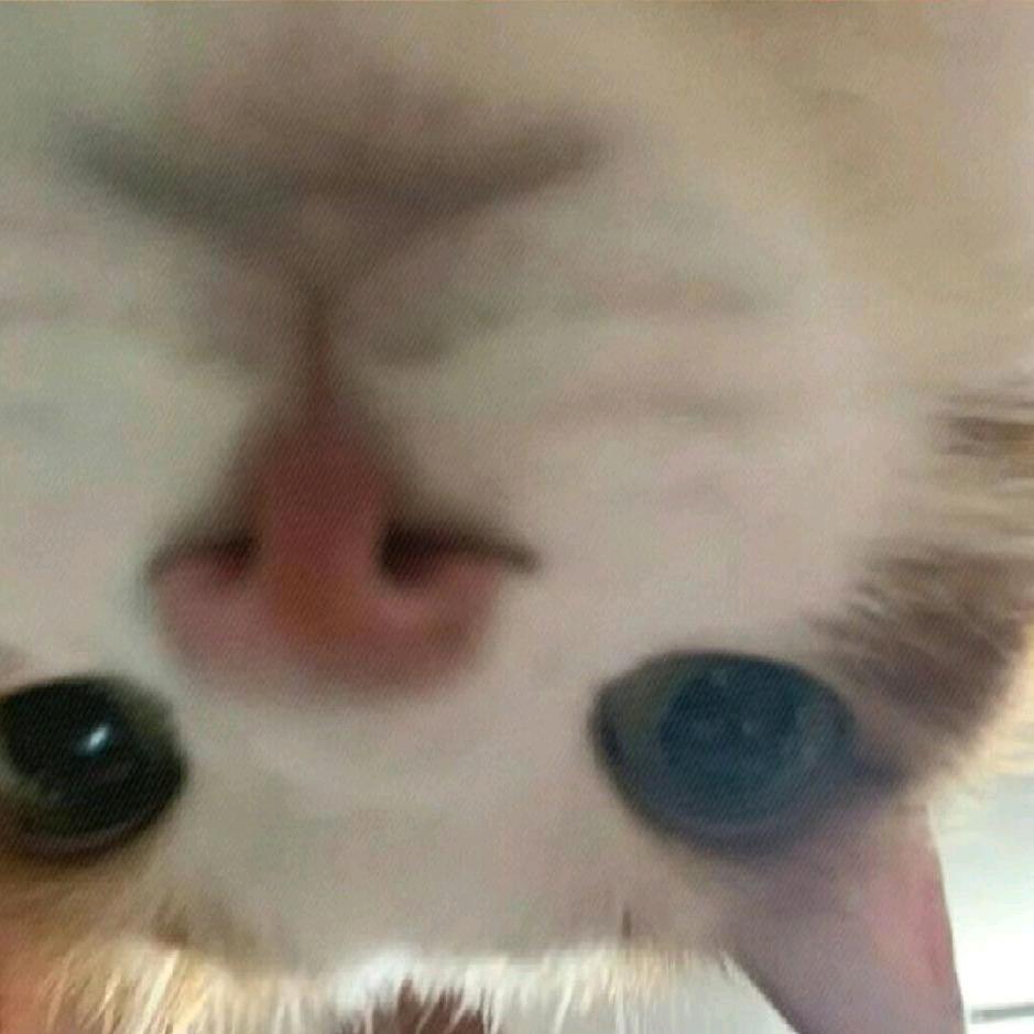 xx.