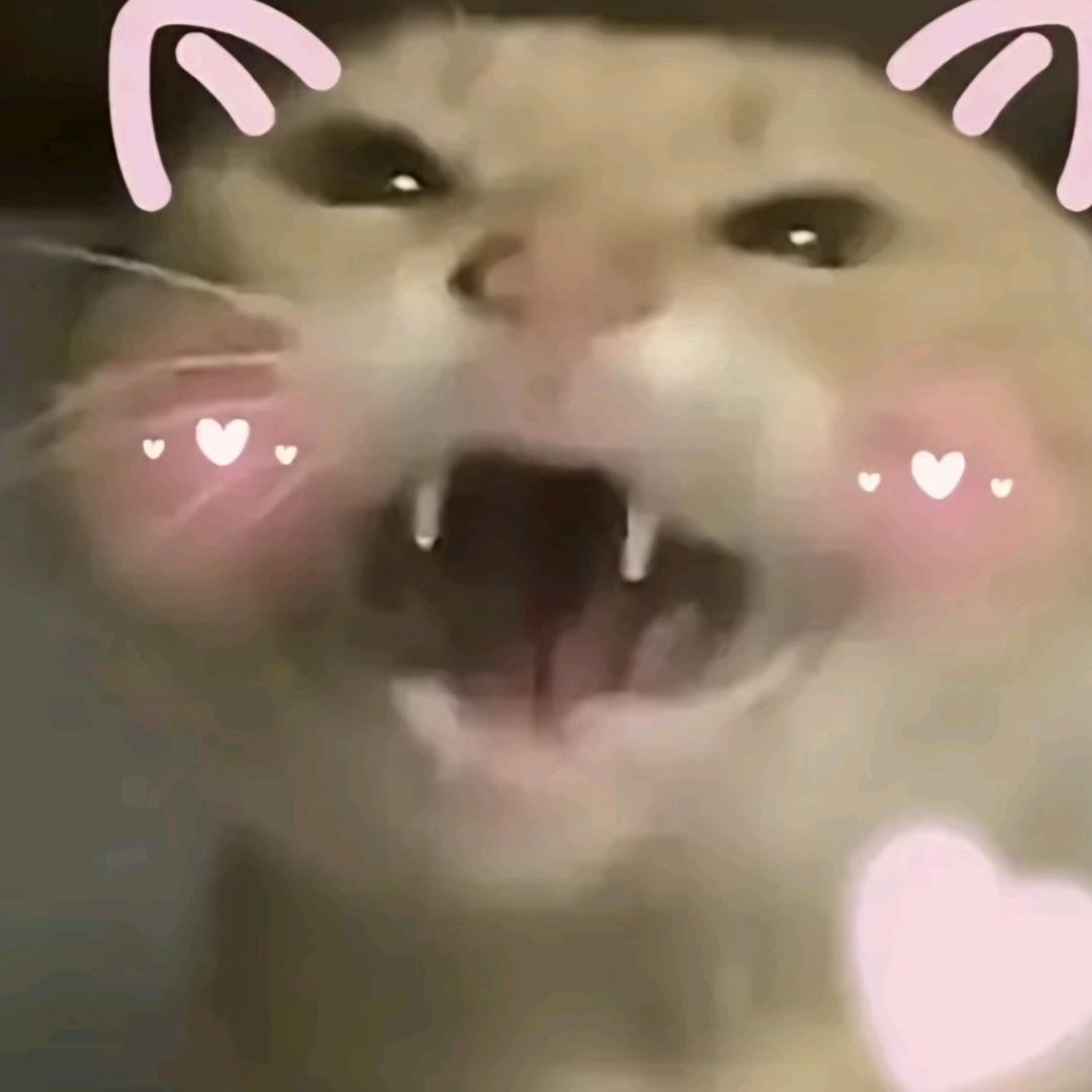 牛奶（三角洲行动）