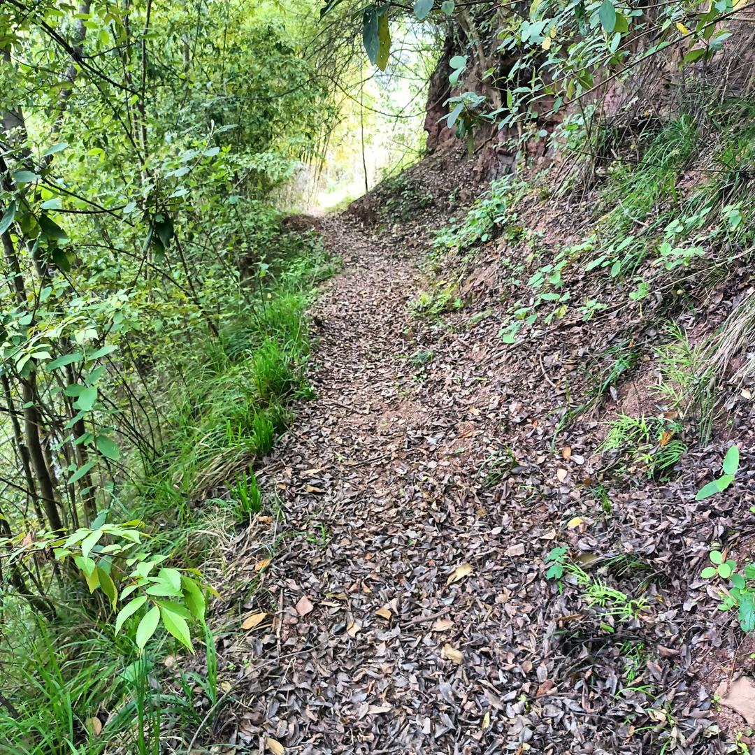 做一个随性的人