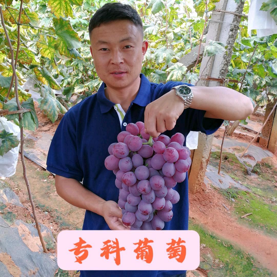 睿禾农业（小高）