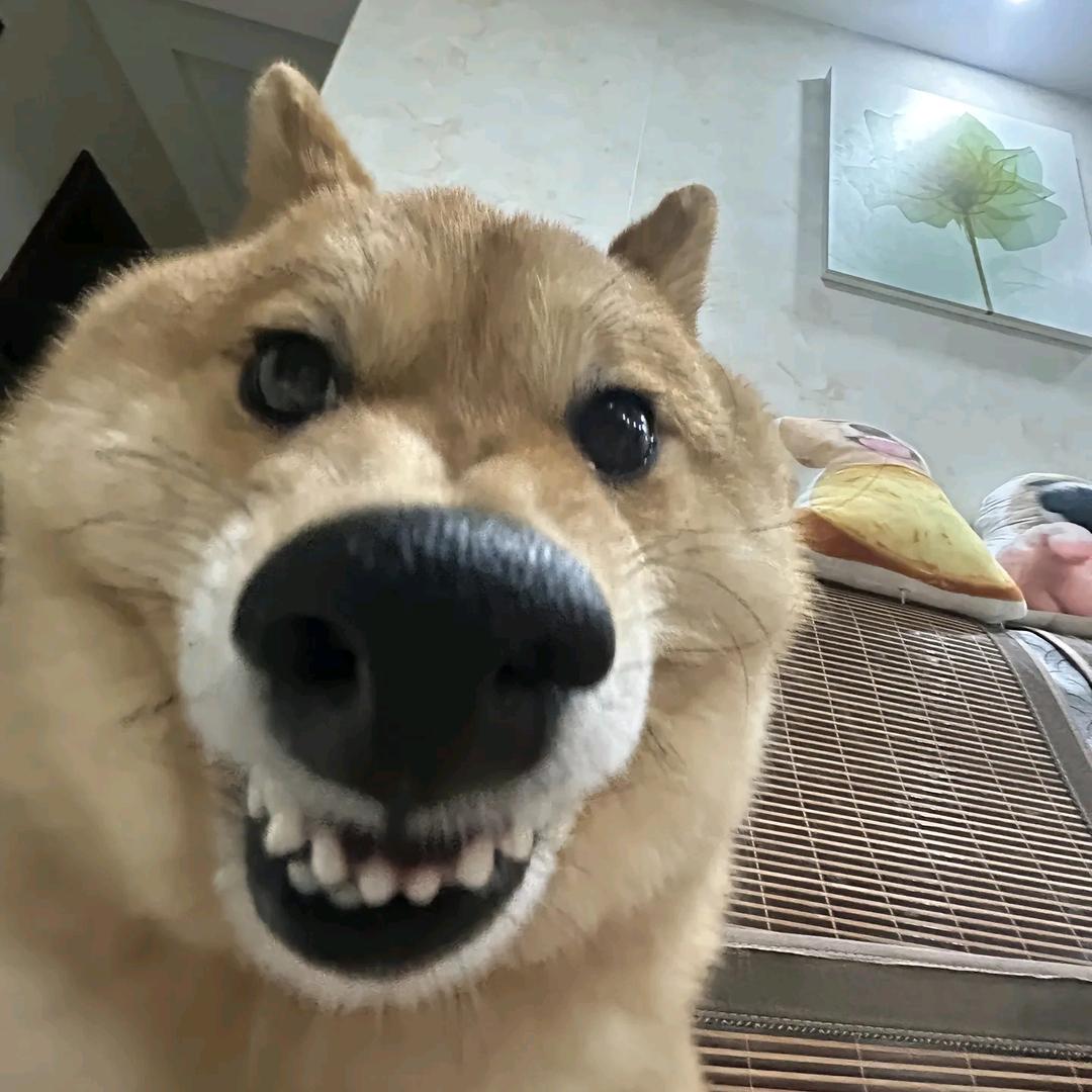 1y