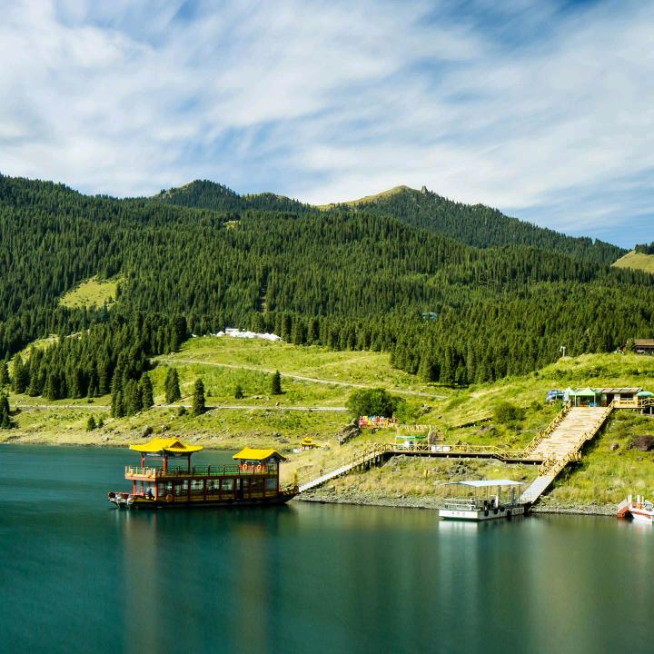 贝贝微胖大码女装