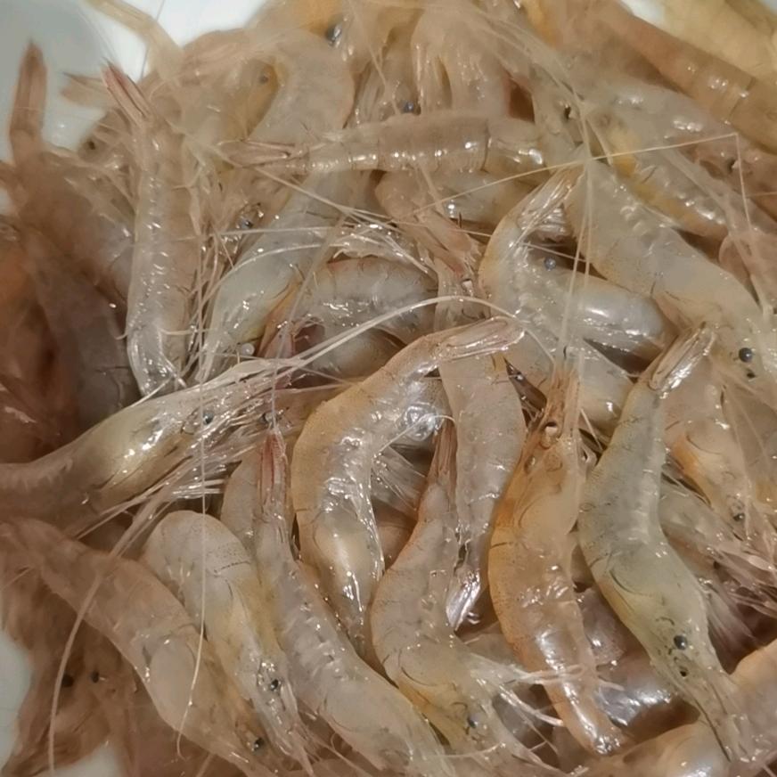 年轻在于拼