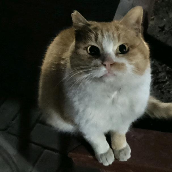 河北曹孟德