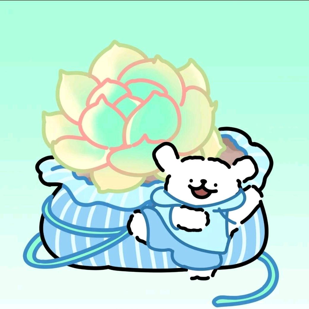 小丹多肉