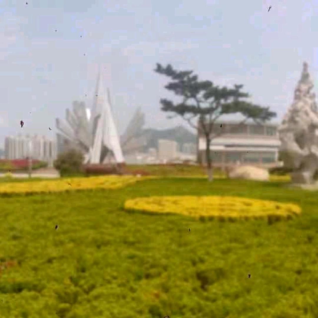 用户清1950