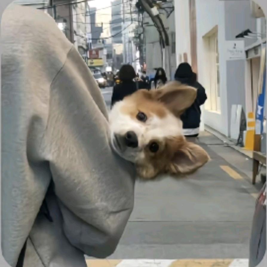 温润.