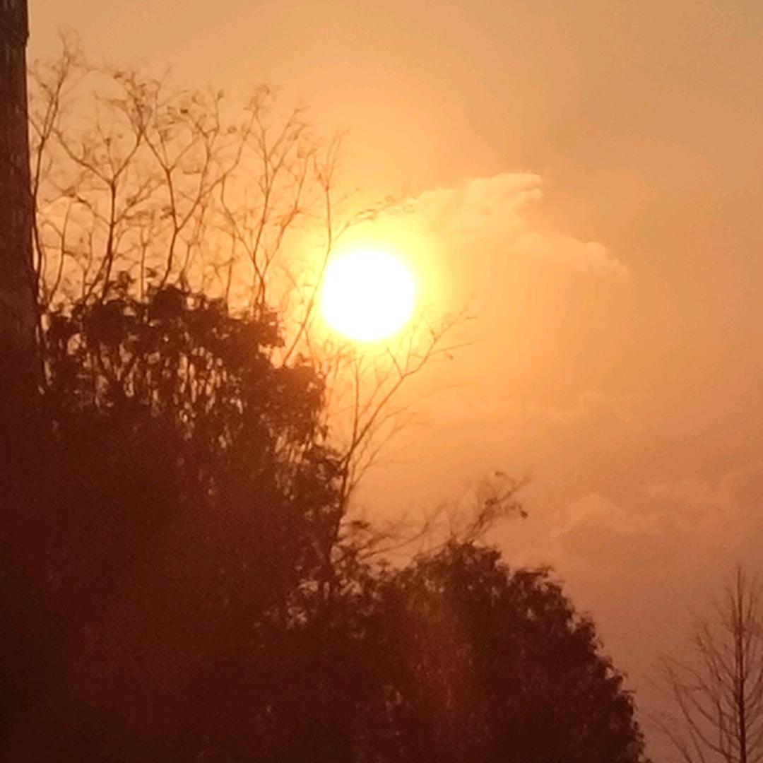 多么痛的领悟啊