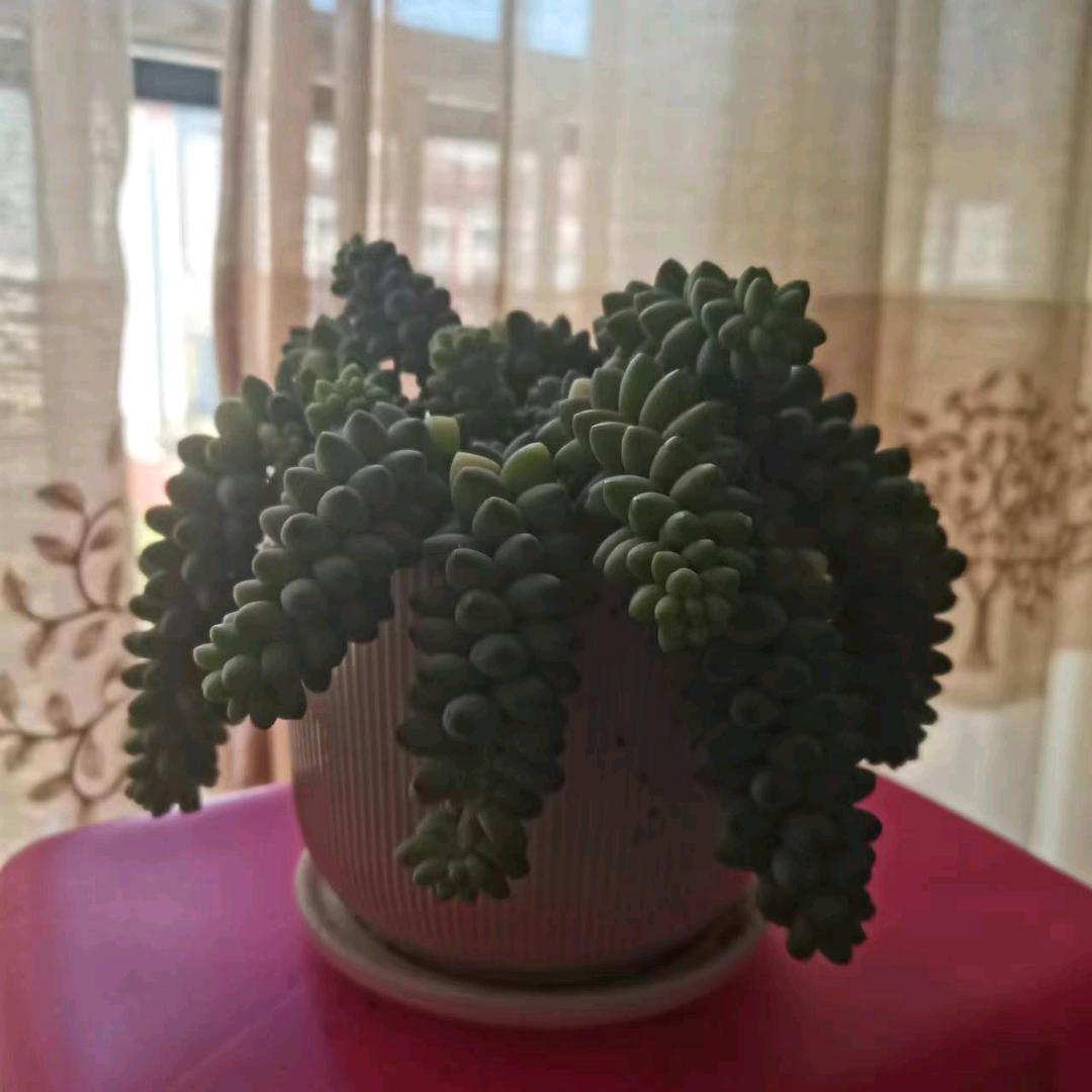 讓微笑荿為習慣
