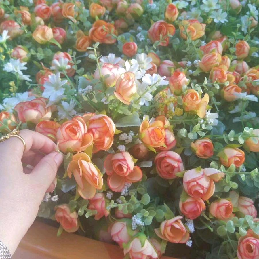 🌸🌸心愿
