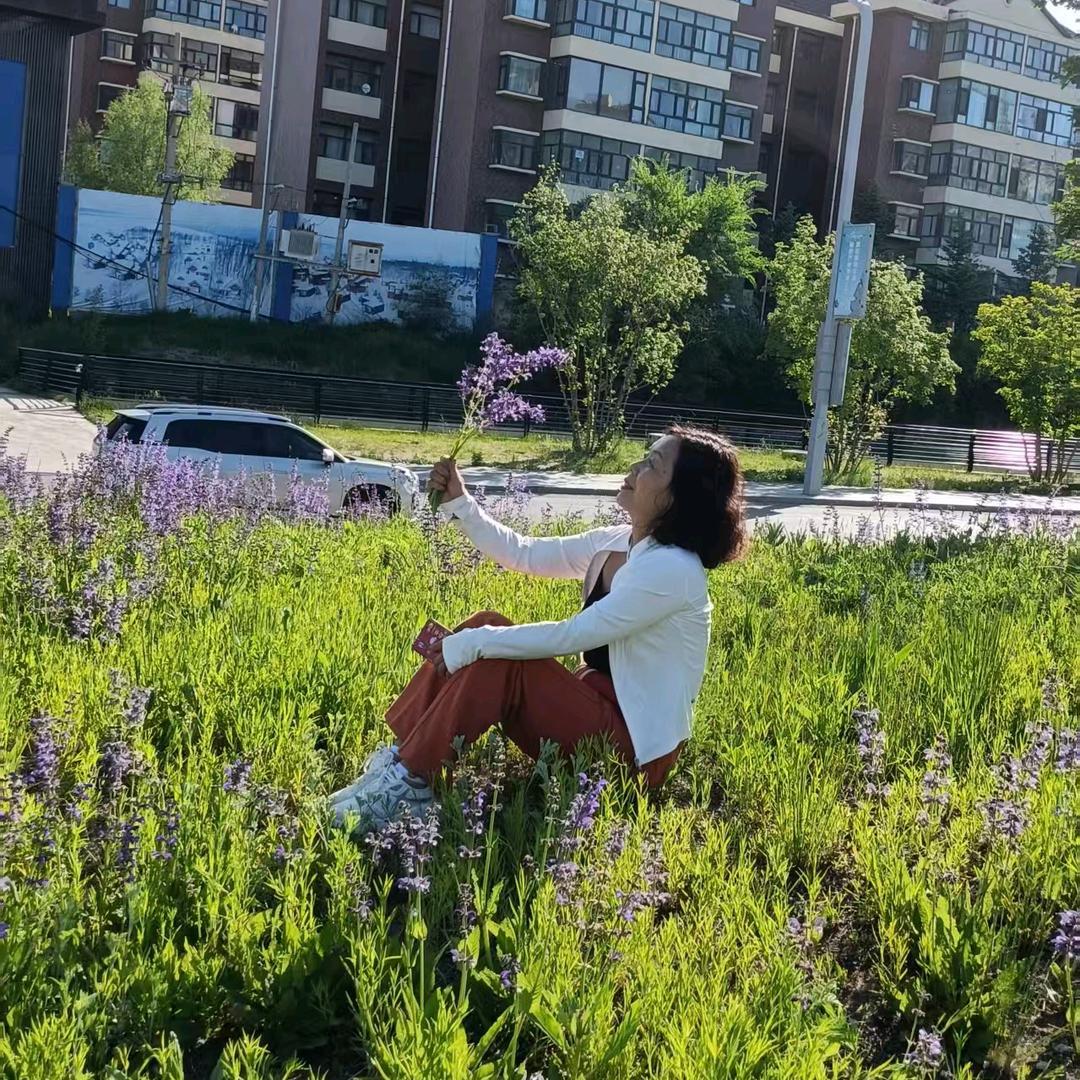 雨中百合