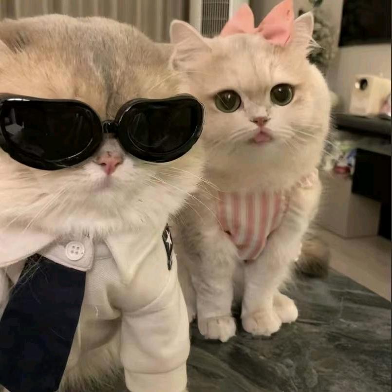 如果你乖给你买条該該